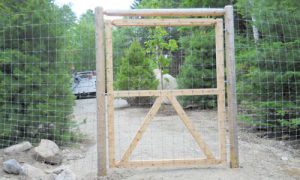 galvanized-deer-fence